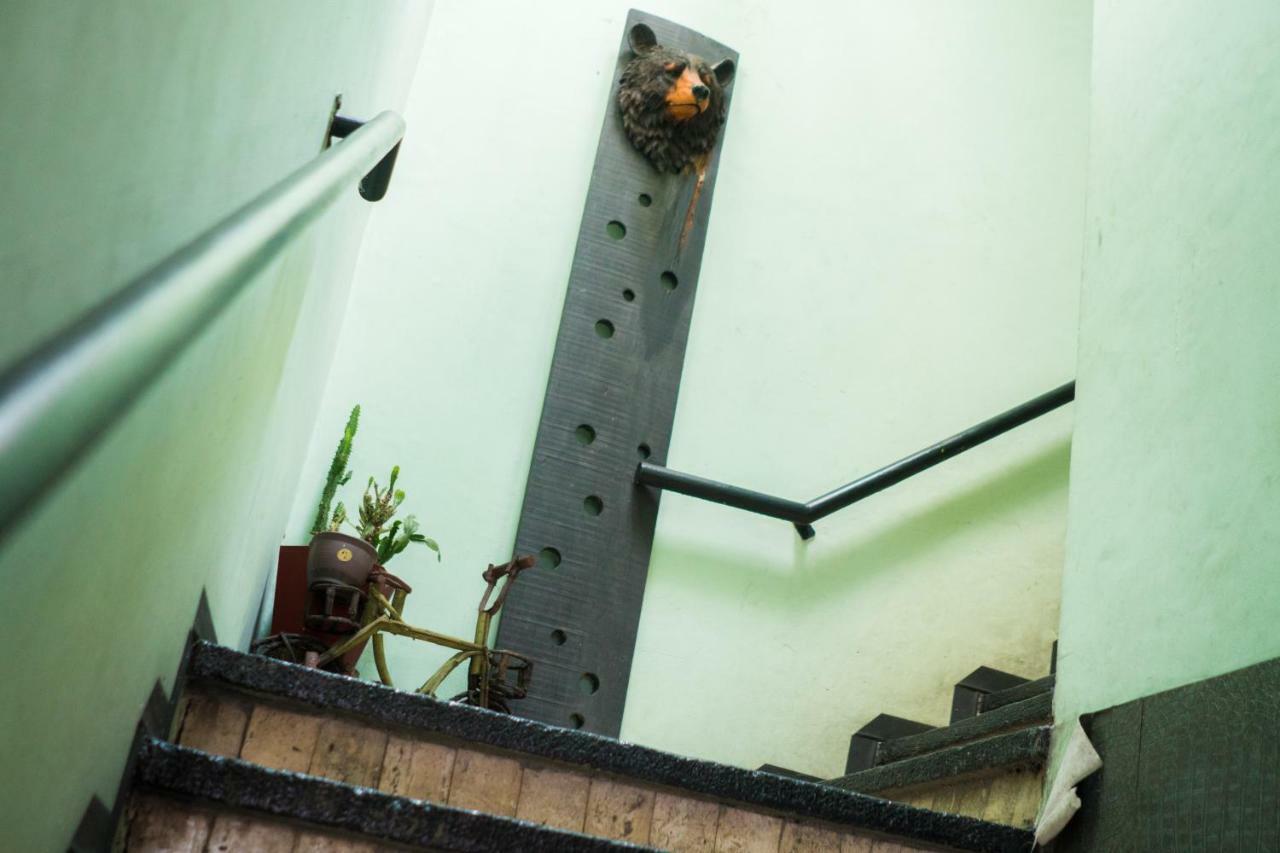 Hostal 50 Халапа Экстерьер фото