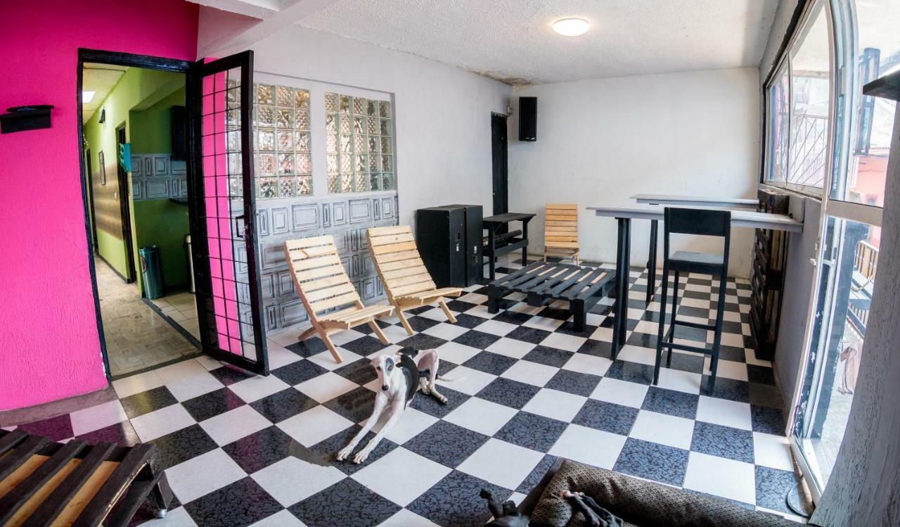 Hostal 50 Халапа Экстерьер фото